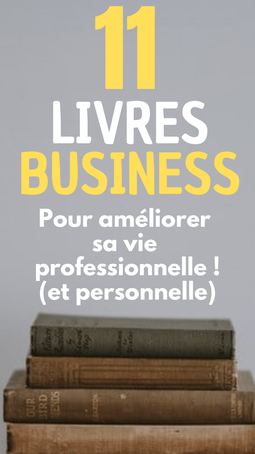 business plan livre pdf