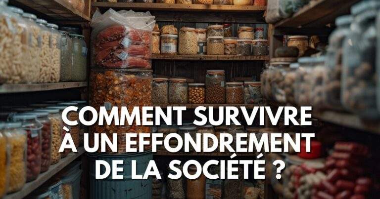 Comment survivre à un effondrement de la société